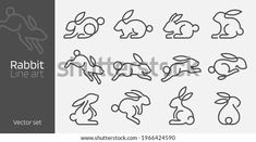 rabbit line art icon set on white and gray background with space for text or image