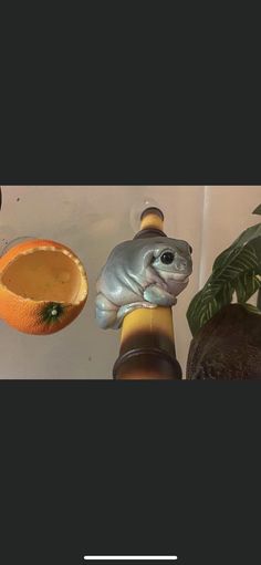 an orange is next to a statue of a frog on top of a bottle opener