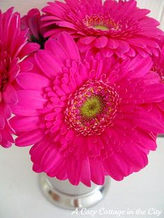 three pink flowers are in a silver vase