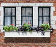 two windows with plants in them on the side of a brick building