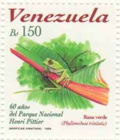 a postage stamp with an image of a frog on a leaf and the words venezuela