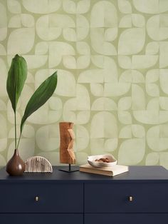 a vase with a green plant sitting on top of a dresser next to a book