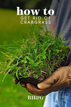 a person holding grass in their hands with the text how to keep crabgrass from coming back