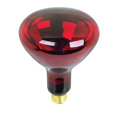 Feit Electric BR40 250-Watt 120-Volt Incandescent Red Heat Lamp Light Bulb - Super Arbor Heat Lamp Bulbs, Red Energy, Heat Lamp, Incandescent Light Bulb, Heat Lamps, Incandescent Lamp, Red Light Therapy, Incandescent Lighting, Lamp Bulb