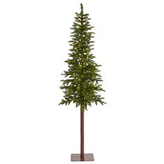 a small pine tree in a metal stand