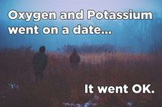 two people standing in tall grass with the words oxygen and potassium went on a date it went ok