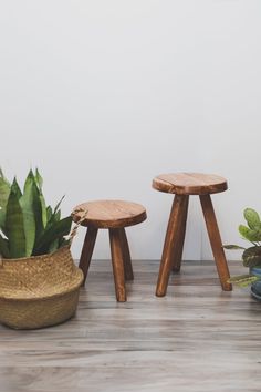 three wooden stools sitting on top of a hard wood floor next to a potted plant