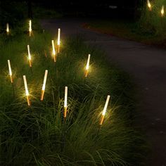 some lights are lit up in the grass near a path at night with long grass growing between them