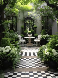 a black and white checkerboard floor in a garden with potted plants, chairs and a table