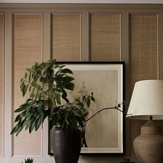 a potted plant sitting on top of a table next to a lamp and pictures