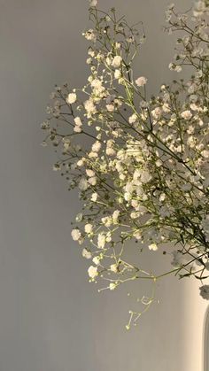 a vase filled with white flowers on top of a table