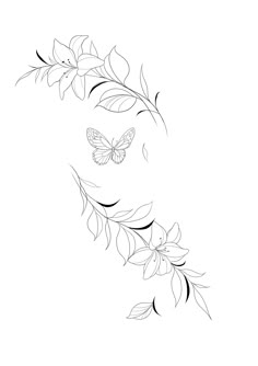 the outline of a butterfly and flowers on a white background, with black lines running through it