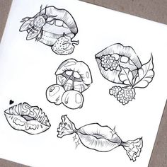 a drawing of different types of leaves and berries