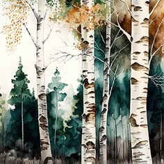 watercolor painting of trees in the woods