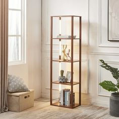 a living room with a book shelf and potted plant