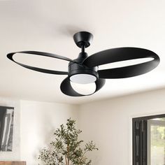 a black ceiling fan in a white room with a potted plant on the table