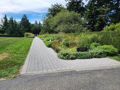 a paved walkway in the middle of a lush green park