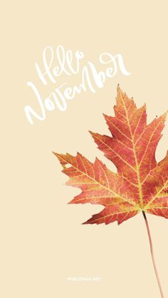 a leaf with the words hello november written on it