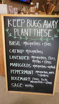 Plants That Repel Bugs, Tanaman Pot, Home Vegetable Garden, Garden Yard Ideas, Veggie Garden, Lawn And Garden, Permaculture, Dream Garden, The Plant