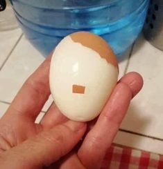 a person holding an egg in their hand