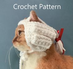 a stuffed animal with a crochet hat on it's head and the words crochet pattern above it