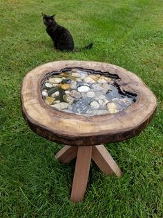 a cat sitting in the grass next to a wooden table with rocks and water inside