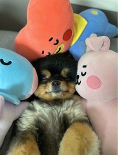 a small dog laying on top of several stuffed animals with their eyes closed and nose open