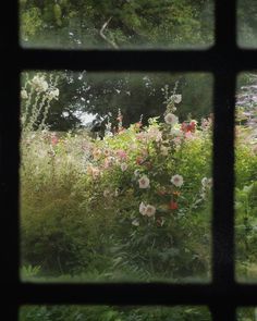 the view through a window shows flowers and trees