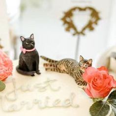 two cats sitting on top of a white cake with pink flowers and roses around it