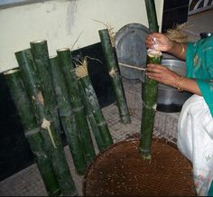 a woman is sitting on the floor next to some bamboo poles and holding something in her hand