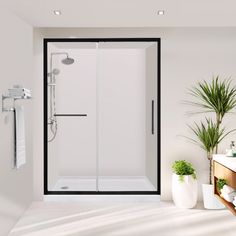 a bathroom with white walls and flooring has a plant in the corner next to the shower