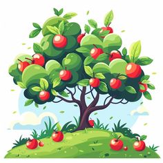 an apple tree with many apples on it