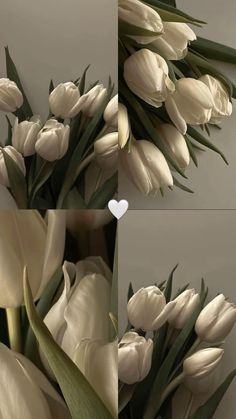 white tulips are arranged next to each other with a heart in the middle