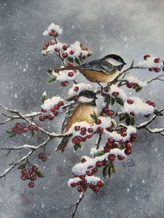 two birds sitting on top of a tree filled with snow covered berries and berries hanging from it's branches