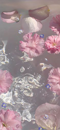 pink flowers floating on top of water in a pond with ripples and bubbles around them