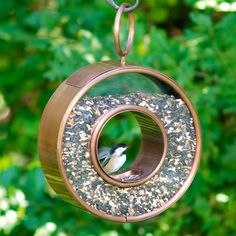 a bird feeder hanging from a metal chain