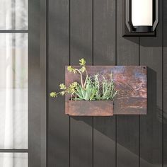 a metal planter with succulents is mounted to the side of a door