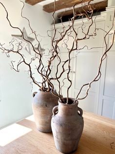 two vases with branches in them sitting on a table