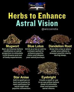 Astral Realm, Wicca Recipes, Open Your Third Eye, Spirit Realm, Witch Tips, Opening Your Third Eye, Herbal Magic For Wiccans, Occult Science