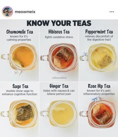 six different types of teas in glass mugs with labels on the side, labeled know your teas