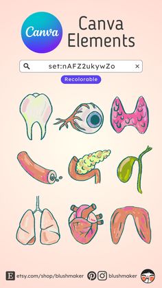 an image of a cartoon character with different types of teeth and other things in the background