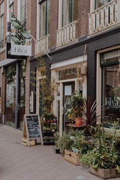 the sidewalk is lined with potted plants in front of buildings and signs that say live