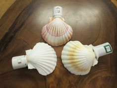 three seashells sitting on top of a wooden table next to an electronic device