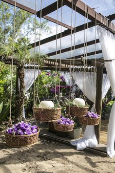 several hanging baskets filled with purple flowers in the sand under a gazebo covered by white drapes