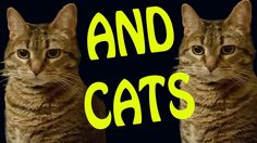 two cats sitting side by side with the words and cats in yellow on black background