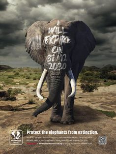 Print Campaign, Creative Ads, Public Interest, NGO, Creative Print Ads, Save Animals Poster, Wildlife Emergency Service Save Wildlife Poster Ideas, Wildlife Week, Endangered Wildlife, Save Wildlife, Africa Animals, Save The Elephants, Art Competitions