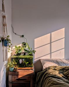 a bed room with a neatly made bed and plants