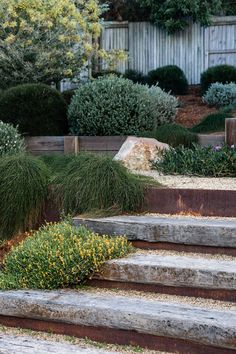 the steps are made of concrete and have plants growing on them in front of it