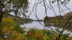 a lake surrounded by lots of trees in the middle of autumn time with leaves on it