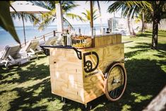 an ice cream cart on the grass by the beach with chairs and palm trees in the background